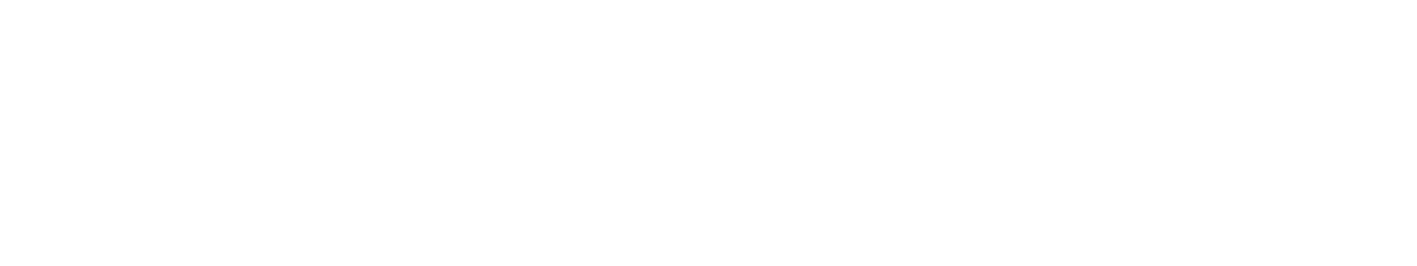 Bats In the Attic